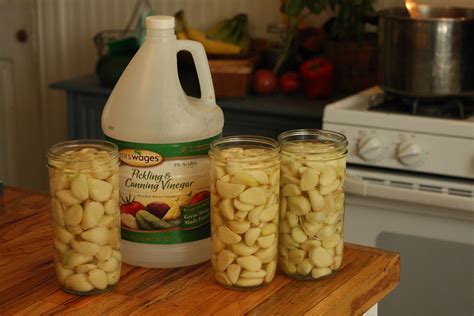 How To Can Garlic at Nick Mendoza blog