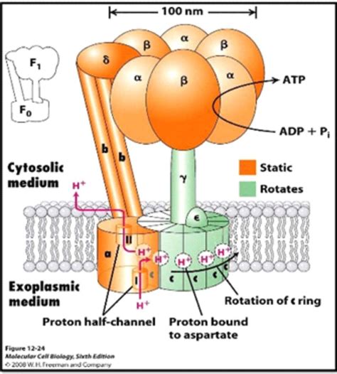 John Hardgrave: Health benefits deuterium depleted water brings | 25 ...