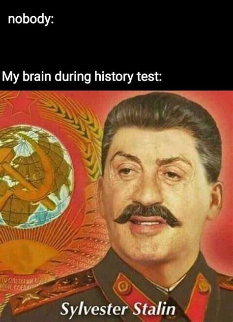 Sylvester Stalin Joseph Stalin Know Your Meme