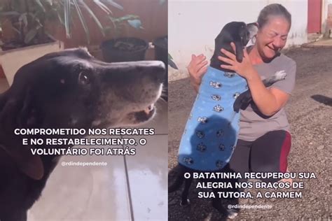 C O Que N O Parava De Chorar Reencontra A Dona E Causa Como O No Rs