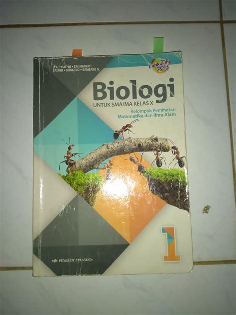 Kunci Jawaban Biologi Erlangga Kelas Xi Ktsp