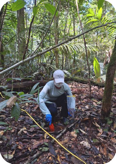 Instituto Tecnológico Vale Projeto Genômica Da Biodiversidade