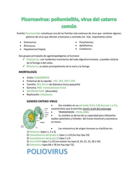 Picornavirus Poliomelitis Virus Del Catarro N Jennifer Acevedo