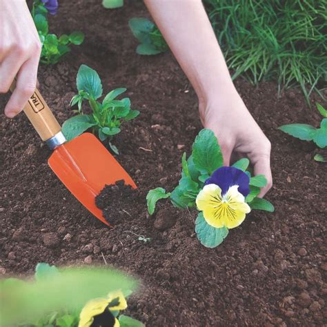 Kit Conjunto Jardinagem 3 Peças Cabo Madeira Borrifador 1 Litro