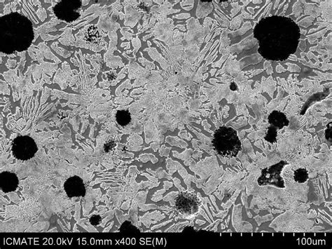 Scanning Electron Microscopy Sem Micrograph With Secondary Electron