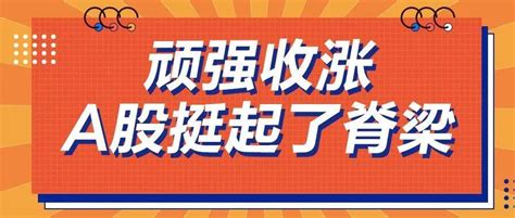 顽强收涨，a股挺起了脊梁个股五一九行情历史