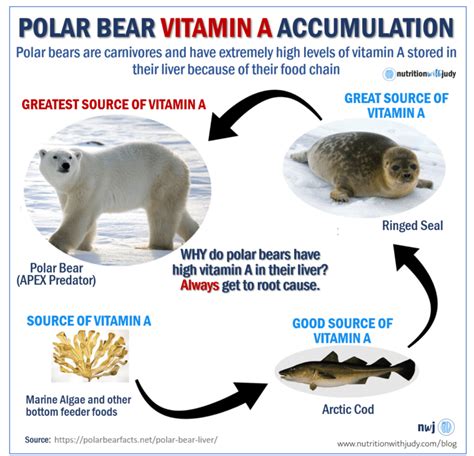 Liver And Risks Of Vitamin A Toxicity Nutrition With Judy