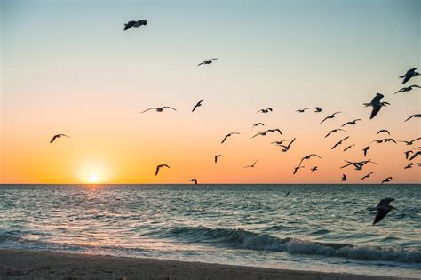 create   daily routine  simple habits  success