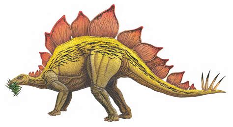 Stegosaurus: The giant herbivore with a deadly tail – How It Works