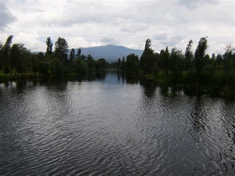 Lake Xochimilco | Wiki | Everipedia