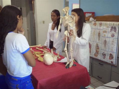 Pibid Biologia Poeta Torquato Neto Uespi Aula Pr Tica Sobre