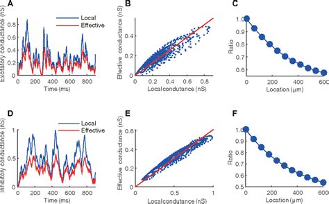 Figure 1 From A New Framework For Determination Of Excitatory And