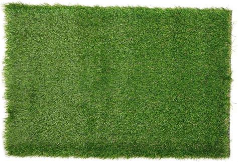 Plain Artificial Grass Carpet For Garden 10 Mm At Rs 27 Sq Ft In Panipat