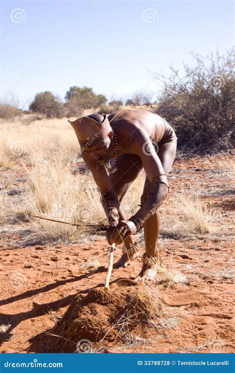 Bushmen Sun Editorial Stock Photo Image Of Namibia Authentic 33788728