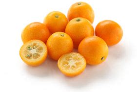 Meiwa Kumquat Trees For Sale | McGill Citrus Nursery