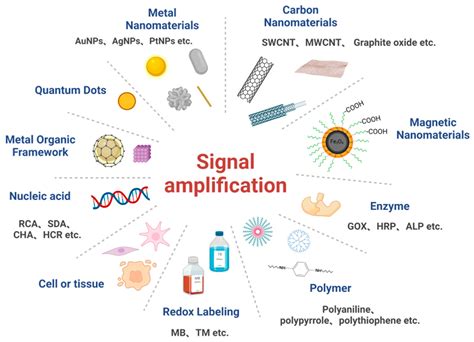 Biosensors Free Full Text Electrochemical Signal Amplification