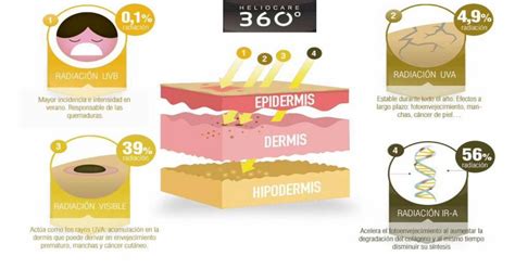 Infograf A Sobre Los Efectos De La Radiaci N Solar Heliocare Pdf