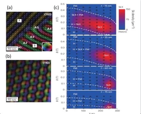 1 Lorentz Transmission Electron Microscopy LTEM Images Of B20 FeGe