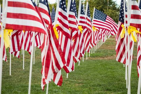 A Field of Veterans Day American Flags Waving in the Breeze. Stock ...