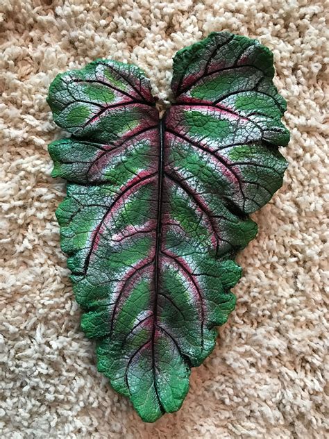 Pin By Elsa Martin On Fotos De Hojas Cement Leaves Concrete Leaves