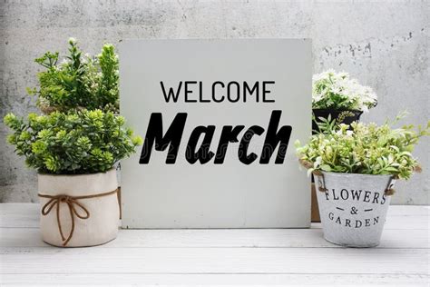 Welcome March Text Message With Artificial Plant Decoration On Wooden