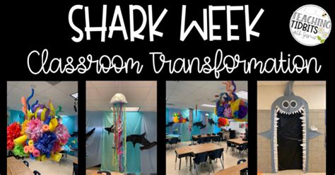 Shark Activities For The Classroom Artofit