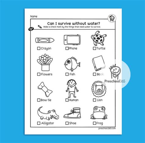 Water Science Activity Packet 14pages