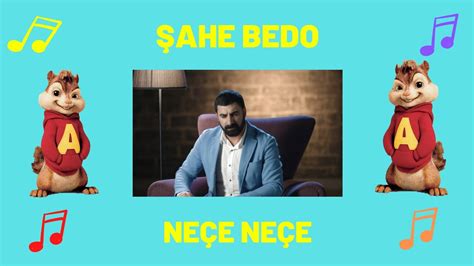 ŞAHE BEDO NEÇE NEÇE ALVİN VE SİNCAPLAR YouTube Music