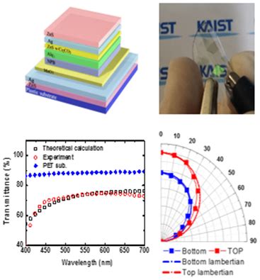 Highly Transparent And Flexible Organic Lightemitting Diodes With