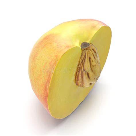 Half Of Peach With Seed Isolated On White Background 3d Illustration