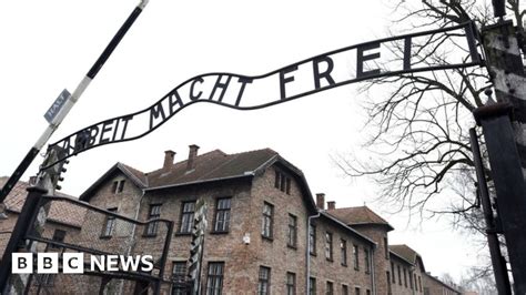 Naked Demonstrators Kill Sheep Under Auschwitz Gates Bbc News