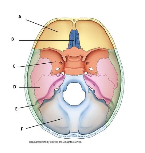 Advanced Radiologic Procedures Midterm Flashcards Quizlet