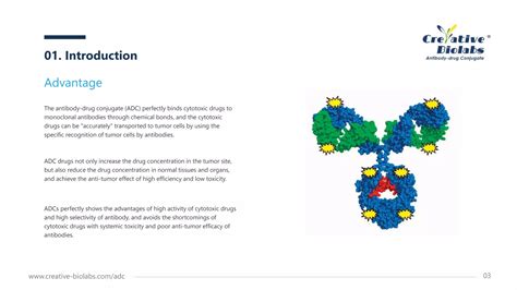 What Is Adc Creative Biolabs Ppt Free Download