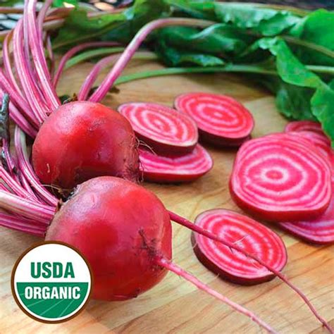 Chioggia Beets (Organic) - Tomatomania