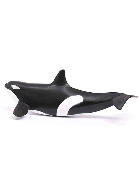 14807 Killer Whale Hub Hobby