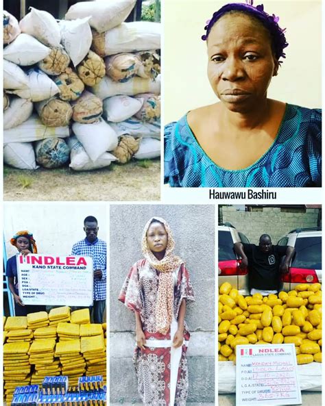 Psaflive On Twitter International News Nigeria S Anti Narcotics