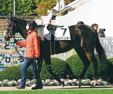 シルクスペンサー｜シルク・ホースクラブ公式｜silk Horse Club