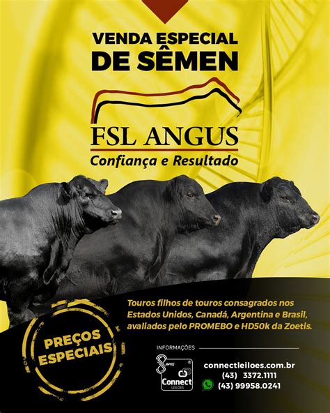 Venda Especial De S Men Fsl Angus Connect Leil Es Conectando O