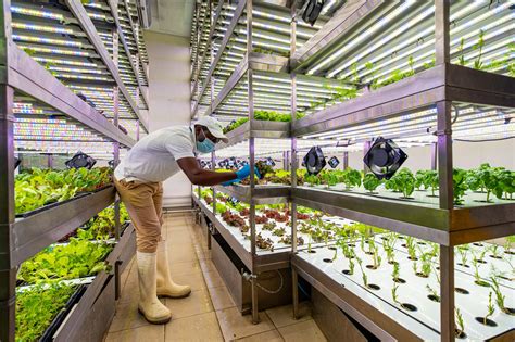 Can Vertical Farming Really Fight World Hunger And Climate Change