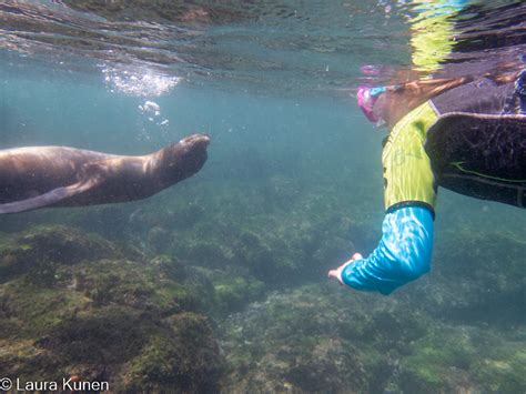 Galápagos Seasons And Snorkeling The Kunen Chronicles