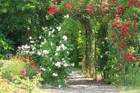 Arche De Jardin Comment L Installer O La Positionner