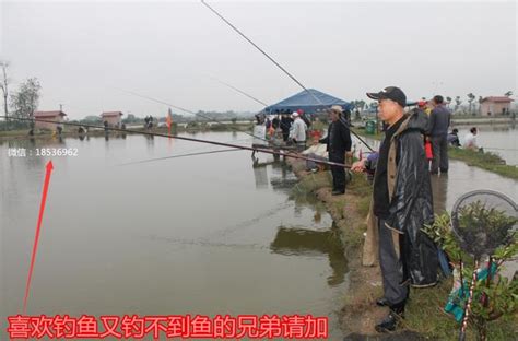 初學釣魚的兄弟必須掌握的夏季釣魚方法，看下吧兄弟們 每日頭條