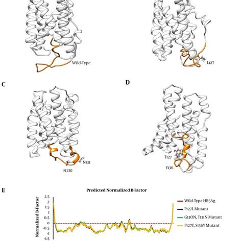 Effects of HBsAg Mutations on 3D Structure of the Protein; Predicted 3D ...