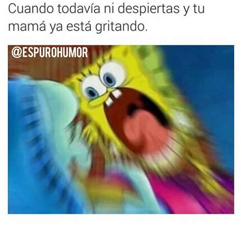 Mis Papas A Los Yo A Los Memes