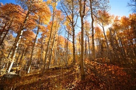 Wonder For All Oregons Public Lands Travel Oregon