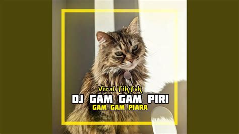 Dj Gam Gam Piri Viral Tiktok Remix Youtube