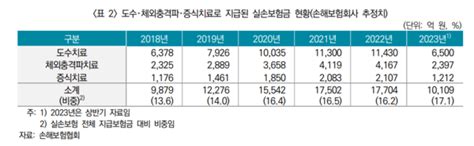 도수치료 실손보험금 1조 넘어“치료비용 기준 마련해야”