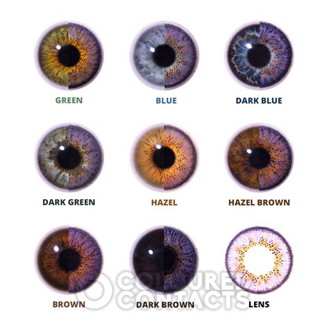 Violet Rose 90 Day Tri Tone Colored Contact Lenses, Natural Lens