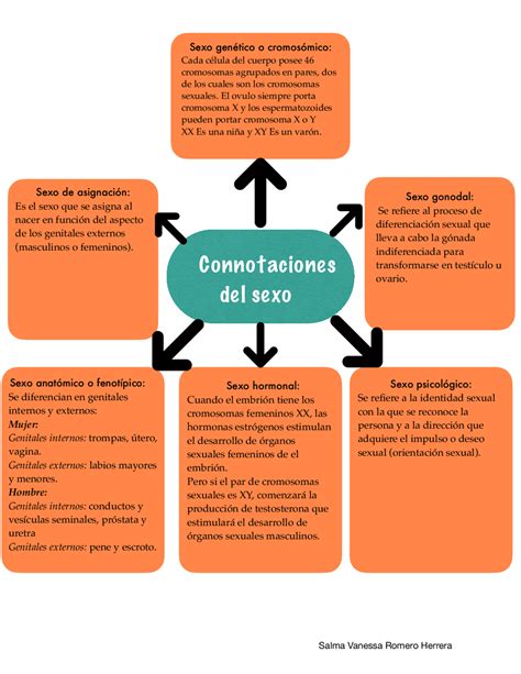 Connotaciones De El Sexo Esquemas Y Mapas Conceptuales De Biología Docsity