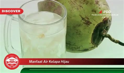 Jarang Diketahui Ini 30 Manfaat Air Kelapa Hijau Yang Bikin Penasaran